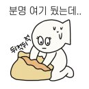 생거진천치유의숲 네이버블로그