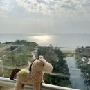 상봉Sea(바다)마트 | 푸꾸옥 4박5일 태교여행 | 인터컨티넨탈 리조트 조식 / 스파 / 오션뷰 객실 솔직후기