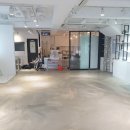 하이마이댕댕 이미지