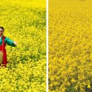 낭만가도 이미지