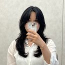포그룸헤어