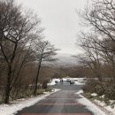 제주공항게스트하우스그린데이 이미지