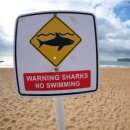 호주 해변의 위험으로부터 안전을 지키는 방법 이미지