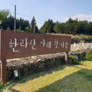 제주메밀영농조합법인 이미지