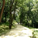 온릉 해설사실 이미지