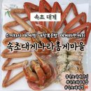 대게나라 조개마을 | 속초해수욕장 대게맛집 속초대게나라홍게마을 대게세트 중자 후기