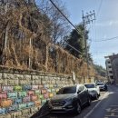 중앙동286 이미지