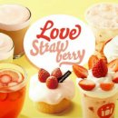 할리스커피 이미지