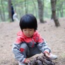 노음초등학교 이미지