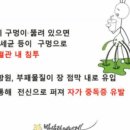 원정탕 이미지