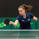 탁구(중급) 이미지