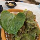 동신횟집 | 거제 일운면 지세포 소노캄맛집 동신막썰이횟집 모듬회 후기