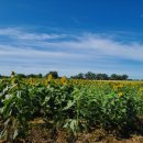 연천호로고루 이미지