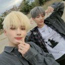 태현 Daum카페