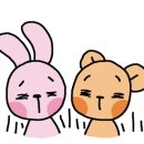 속초 애견펜션 양양 해피 플레이스 이미지