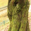 김유신 장군 사당 이미지