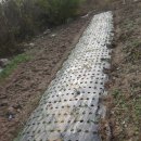 포전마을 이미지