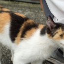 교가5리 이미지