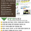 굼마을촌