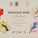 backyard birds collections 이미지