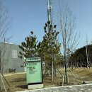 CU산타마리아점 | 인천 인스파이어 리조트 디럭스킹 포레스트타워 아기랑 호캉스 주차꿀팁