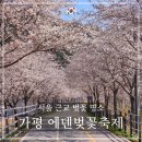 가평시가지 자전거길 | 가평 에덴벚꽃길 축제 미리 다녀온 후기 - 개화 상황 주차 꿀팁 포토존 푸드존 총정리