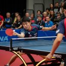 탁구(중급) 이미지