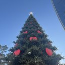 시우마켓 | 잠실 롯데몰 🎄크리스마스 마켓🎄 후기(네이버 예약 꿀팁🍯, 팝마트 라부부 구매🐰+언박싱)