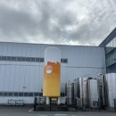 한림환승정류장 | 제주 한림 추천 여행지 '제주 맥주' (제주 맥주 양조장, 예약, 도슨트, 이용후기)