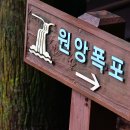 돈내코 계곡 이미지