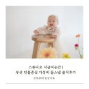 스튜디오 지금이순간 | 부산 인물중심 가성비 돌스냅 솔직후기