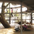 열린유치원 이미지