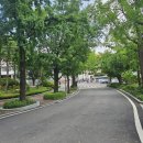 추계예술대학교 테니스장