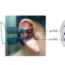 (주)신경 이미지