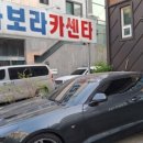 보라모터스 이미지