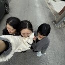 다이소경주
