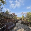 서울시립구로노인종합복지관 이미지