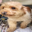 백간공원길 이미지