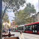 오페라약국 | 호주 시드니 더풀러턴호텔 오페라하우스 여행후기 (2)