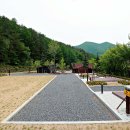 태백고원자연휴양림 자동차야영장 | 태백고원 자연휴양림 야영 캠핑장 주변 맛집 카페 마트 시장 특산물 강아지 동반 정보