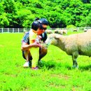 파란하늘목장 이미지