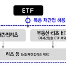 ETF의 부동산 재간접펀드 투자가 허용되고, 대체투자자산에 대한 평가가 강화됩니다 이미지