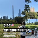 뉴욕여행 2일차 8월 센트럴파크 피크닉, 쉽미도우 스카이라인 명당 후기 (센팍 명소, 메트가는길)
