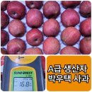 박우택 | ❌❌품절입니다❌❌[고당도 박우택 사과]🍎함양 박우택 사과는 완전 좋은 사과인것 아시죠~?~?🍎오늘 예쁜...