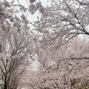 응암공원 티스토리