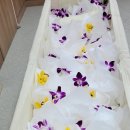 서울성심병원 이미지