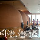 배곧초등학교 | 배곧스파24시사우나 다녀온 후기 내돈내산 배곧사우나 아이와 가기 좋은 곳