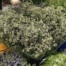 북악어린이집 이미지