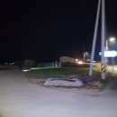 옥대로농로 Daum카페