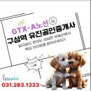 벽산블루밍공인중개사사무소 | 용인시 구성역근처 소형아파트는 있어? 없어?